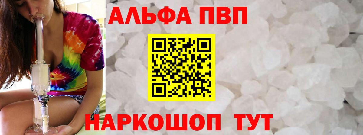 A-PVP СК Бердск