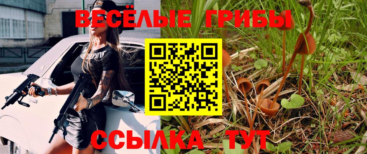 Псилоцибиновые грибы Cubensis  Вход с VPN  где купить   Бердск 