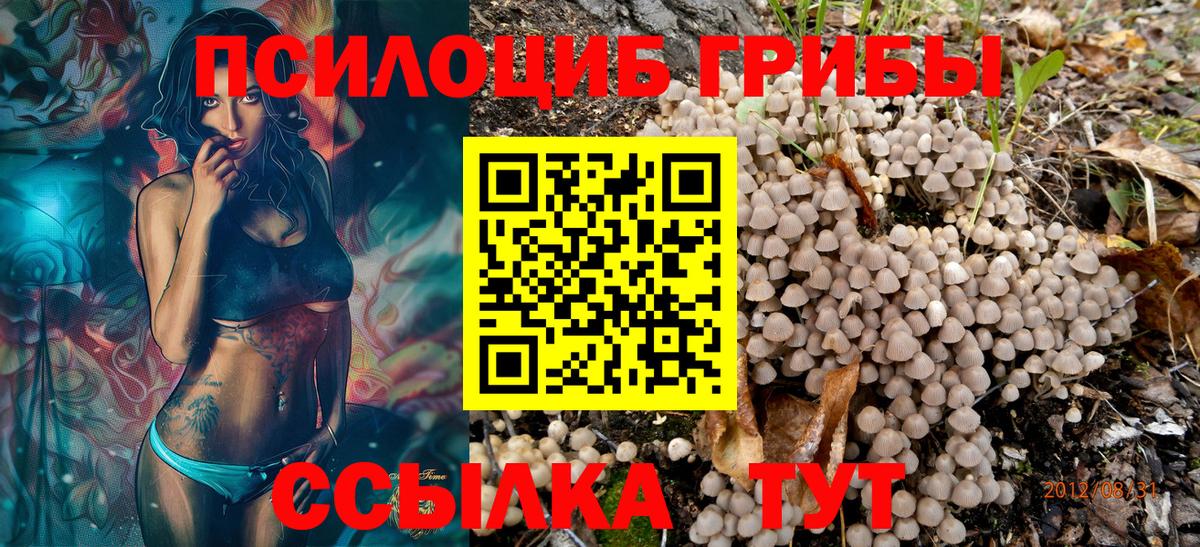 Галлюциногенные грибы мухоморы Бердск